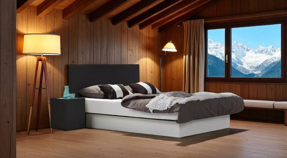 LIT A EAU BASIC WATERBED FRANCE